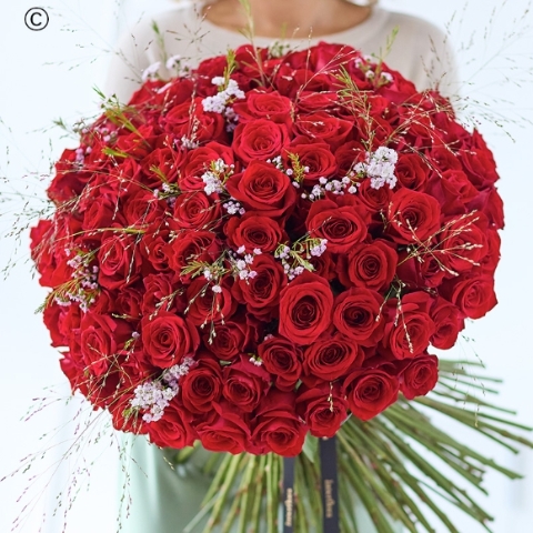 100 Red Rose Hand tied